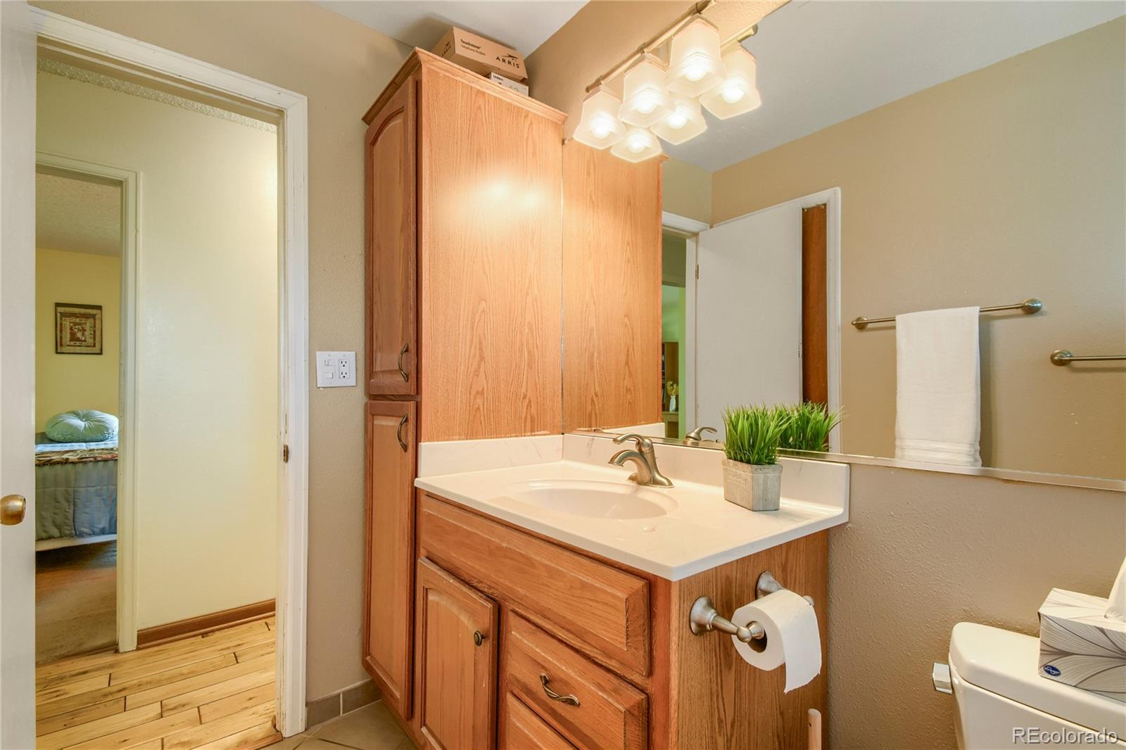 MLS Image #10 for 17411 e gunnison place,aurora, Colorado