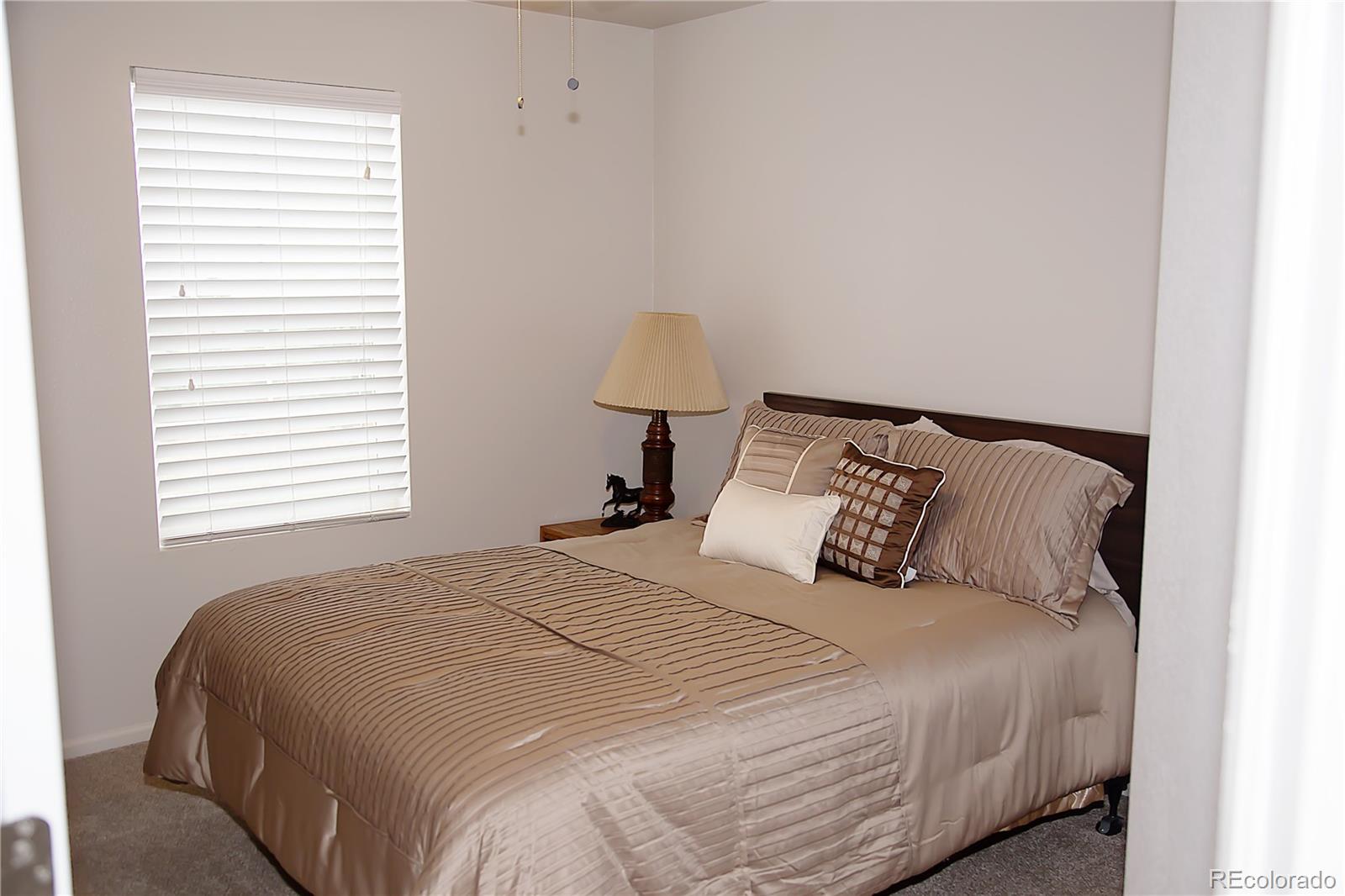 MLS Image #21 for 3497  starry night loop,castle rock, Colorado