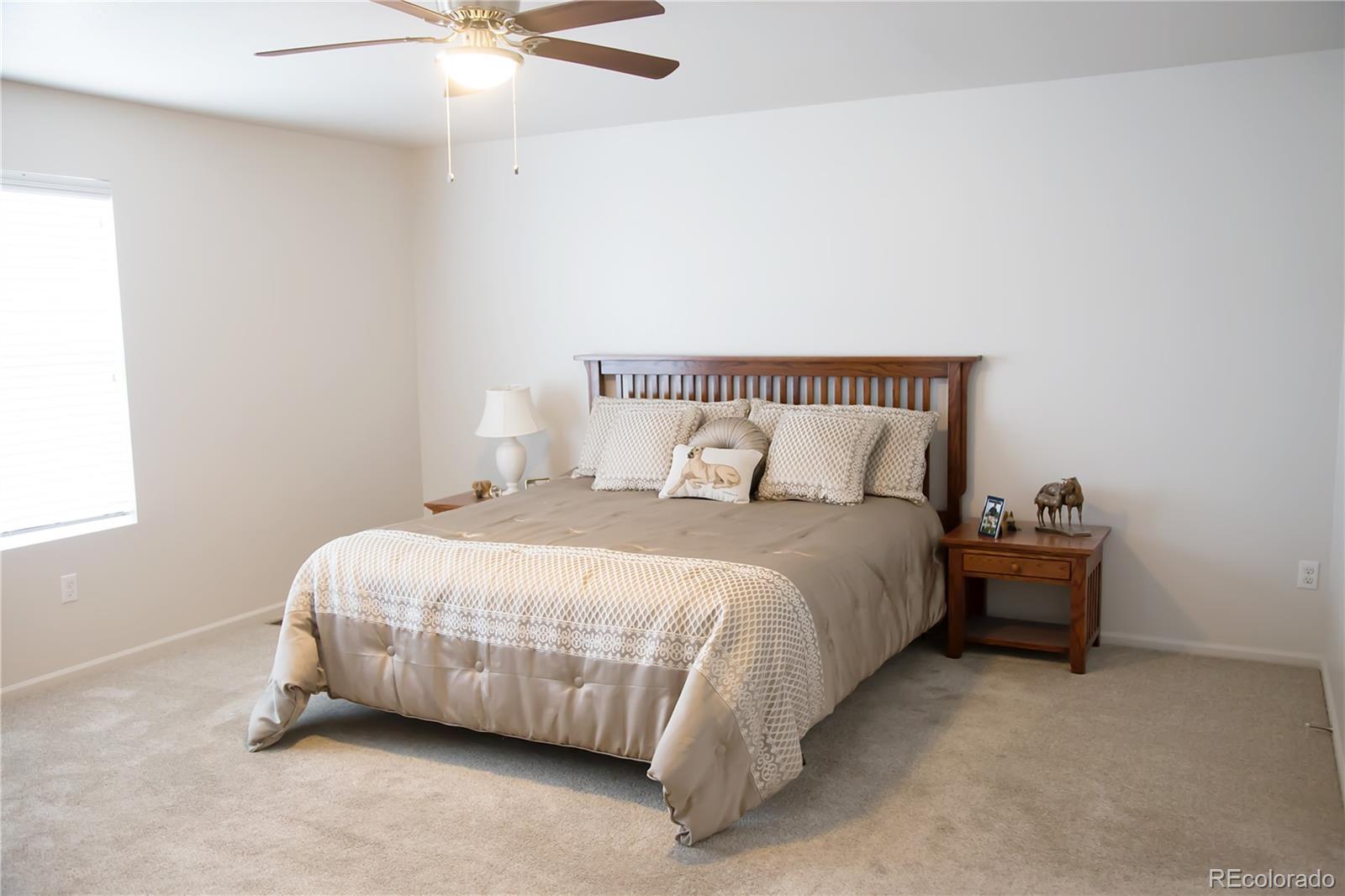 MLS Image #22 for 3497  starry night loop,castle rock, Colorado