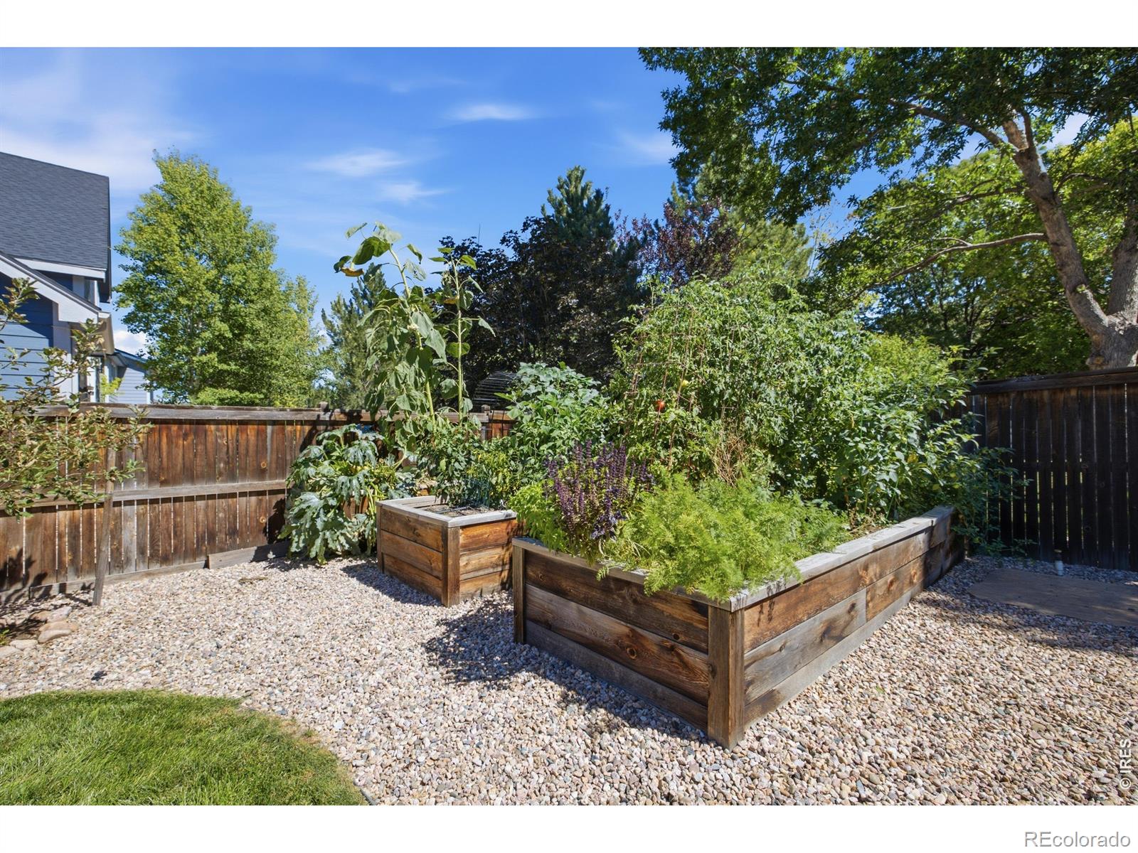 MLS Image #21 for 1202  aruba drive,fort collins, Colorado