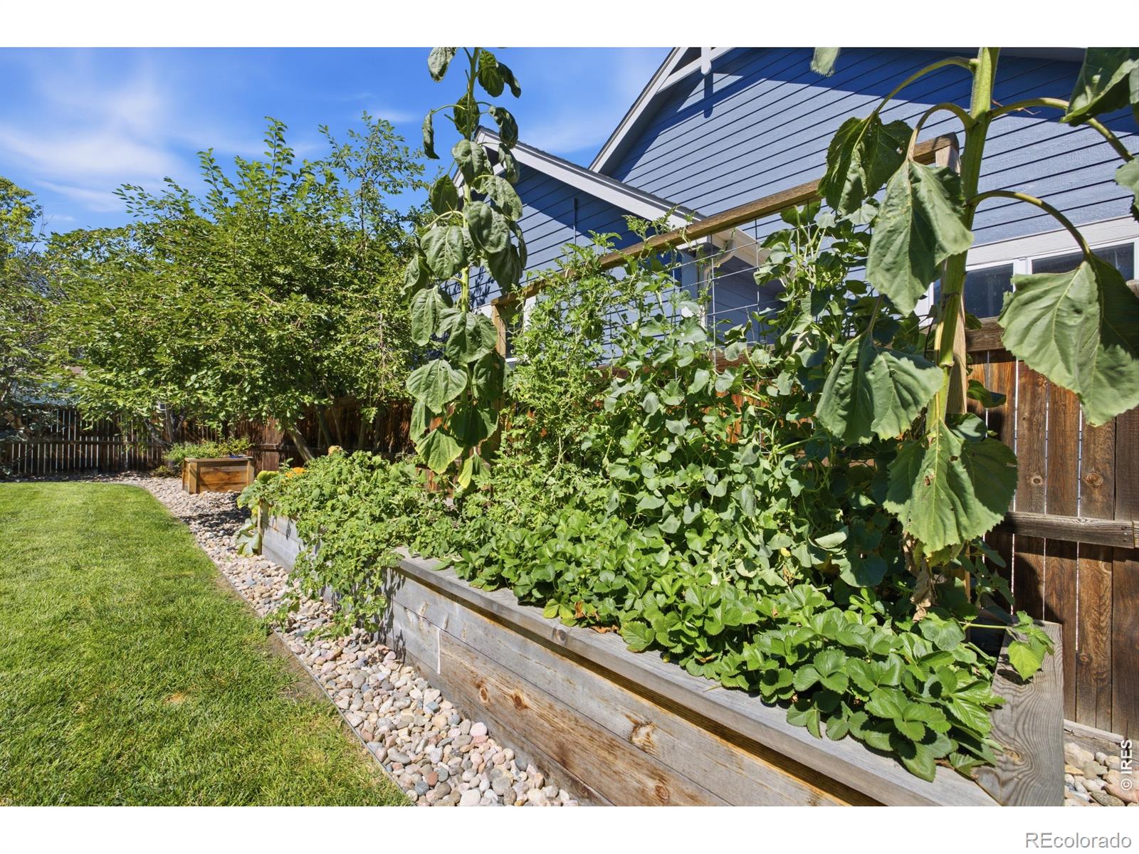 MLS Image #8 for 1202  aruba drive,fort collins, Colorado