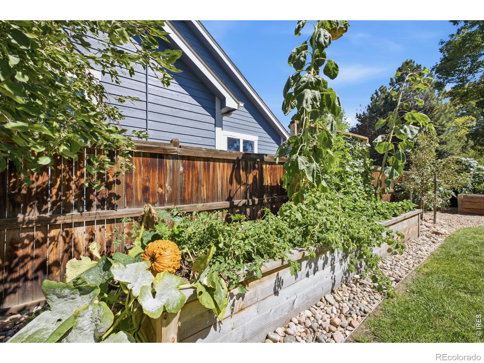 MLS Image #9 for 1202  aruba drive,fort collins, Colorado
