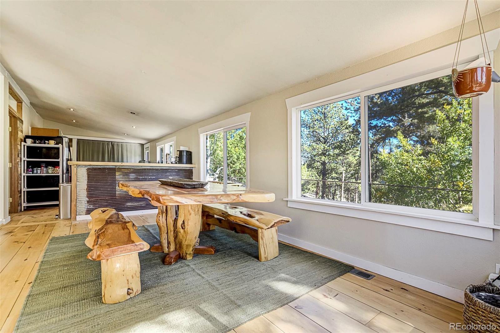 MLS Image #10 for 176  chalk circle trail,florissant, Colorado