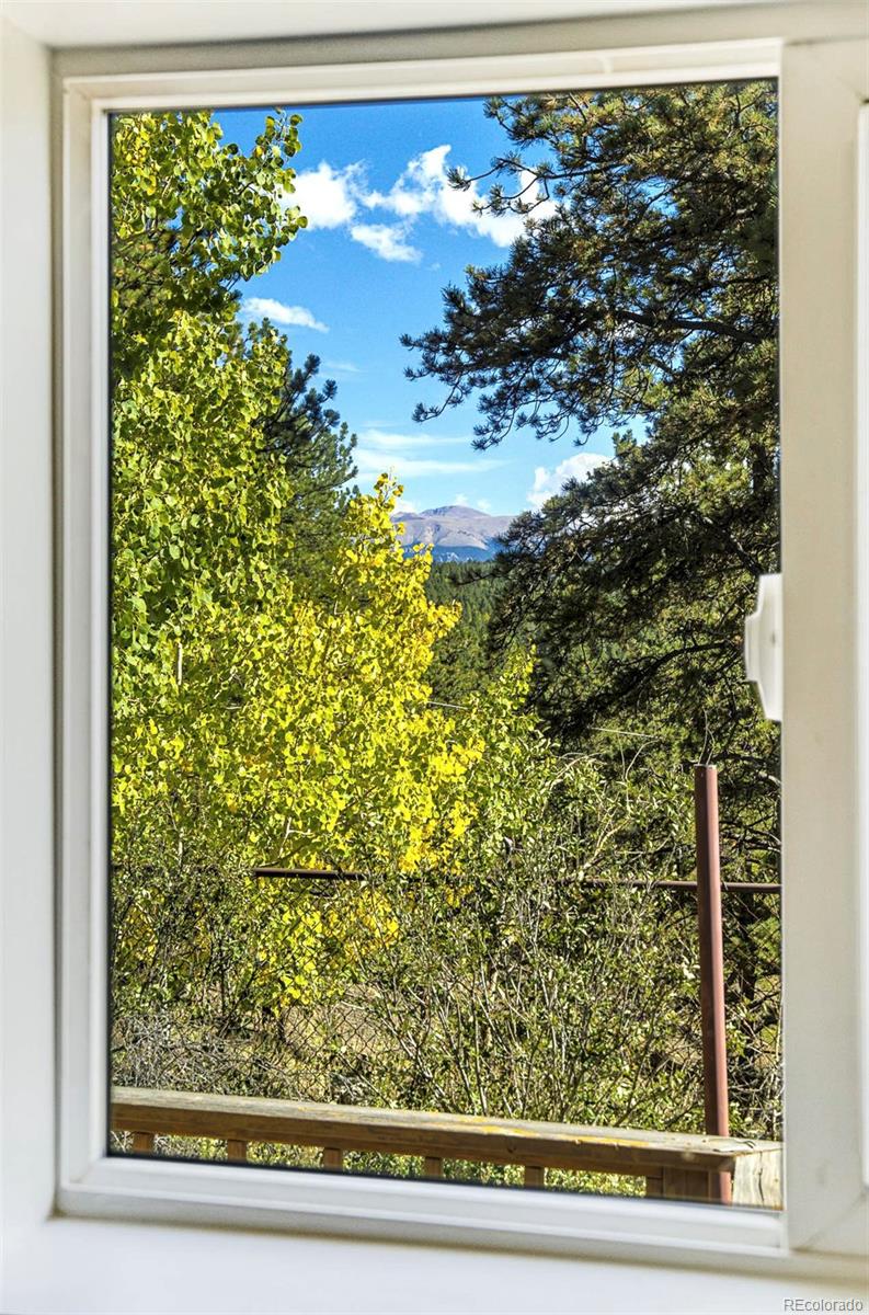 MLS Image #12 for 176  chalk circle trail,florissant, Colorado