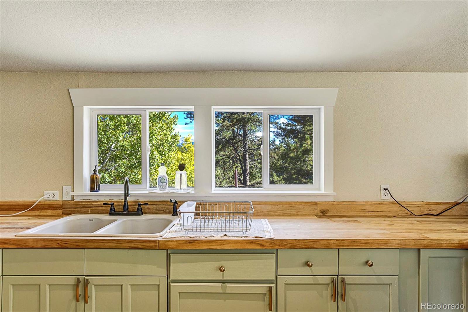 MLS Image #13 for 176  chalk circle trail,florissant, Colorado
