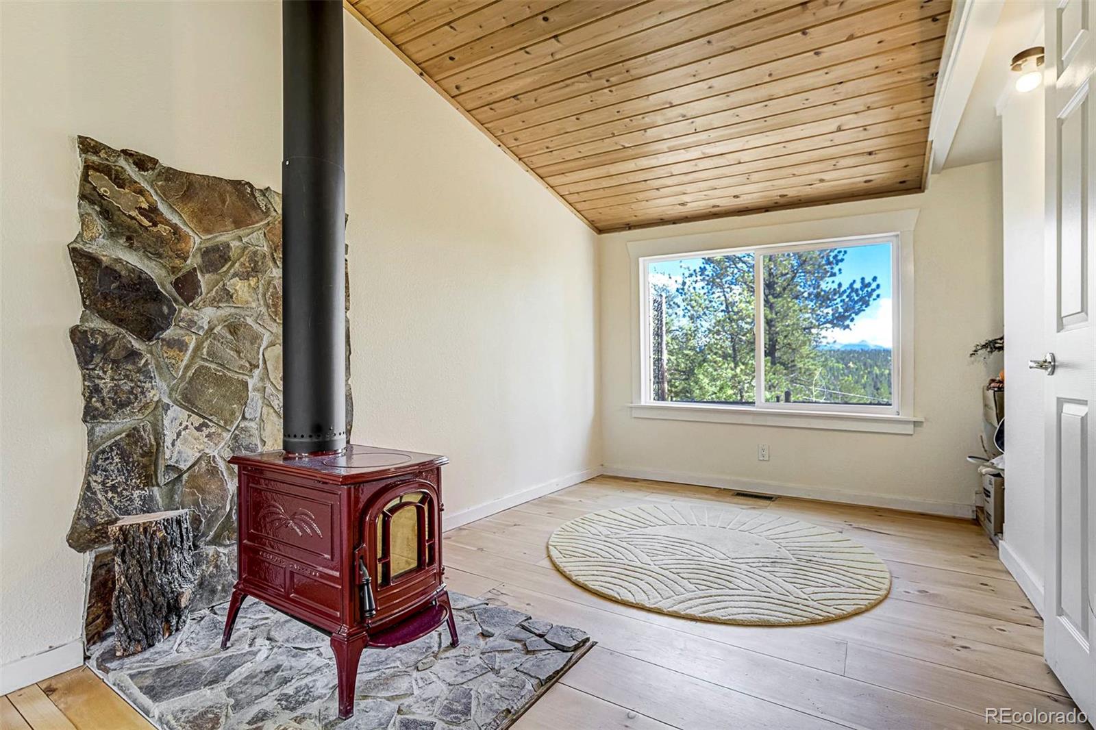 MLS Image #16 for 176  chalk circle trail,florissant, Colorado