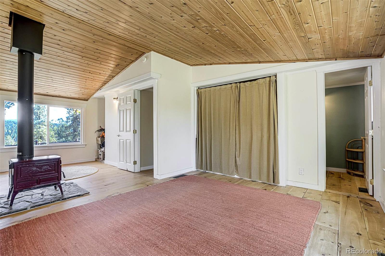 MLS Image #17 for 176  chalk circle trail,florissant, Colorado