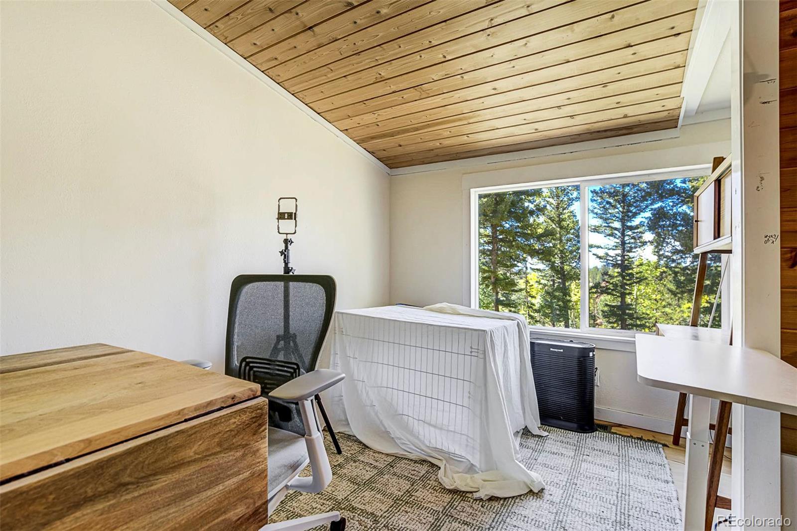 MLS Image #21 for 176  chalk circle trail,florissant, Colorado