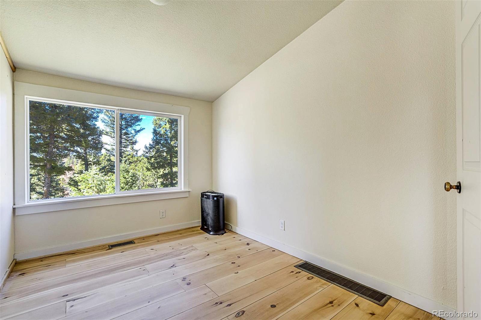 MLS Image #26 for 176  chalk circle trail,florissant, Colorado