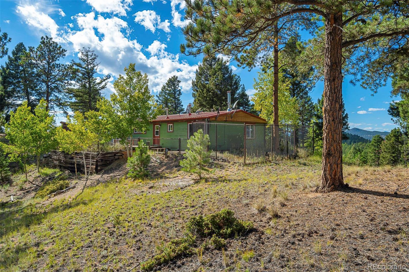 MLS Image #30 for 176  chalk circle trail,florissant, Colorado