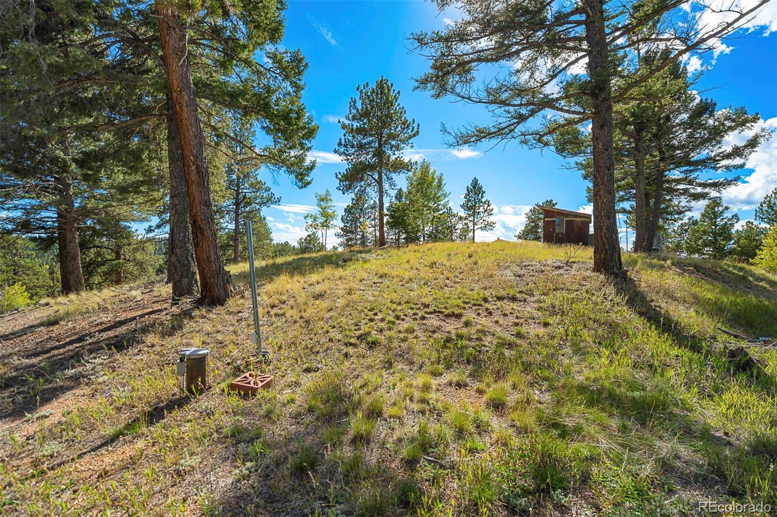 MLS Image #42 for 176  chalk circle trail,florissant, Colorado