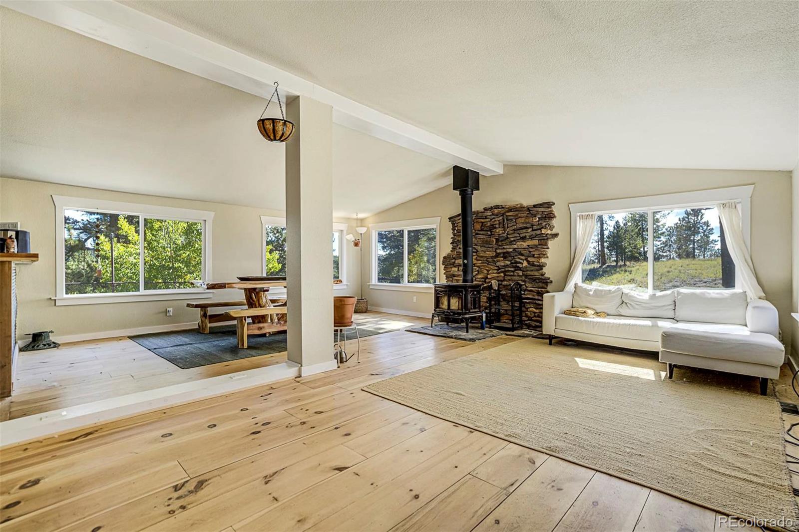 MLS Image #6 for 176  chalk circle trail,florissant, Colorado