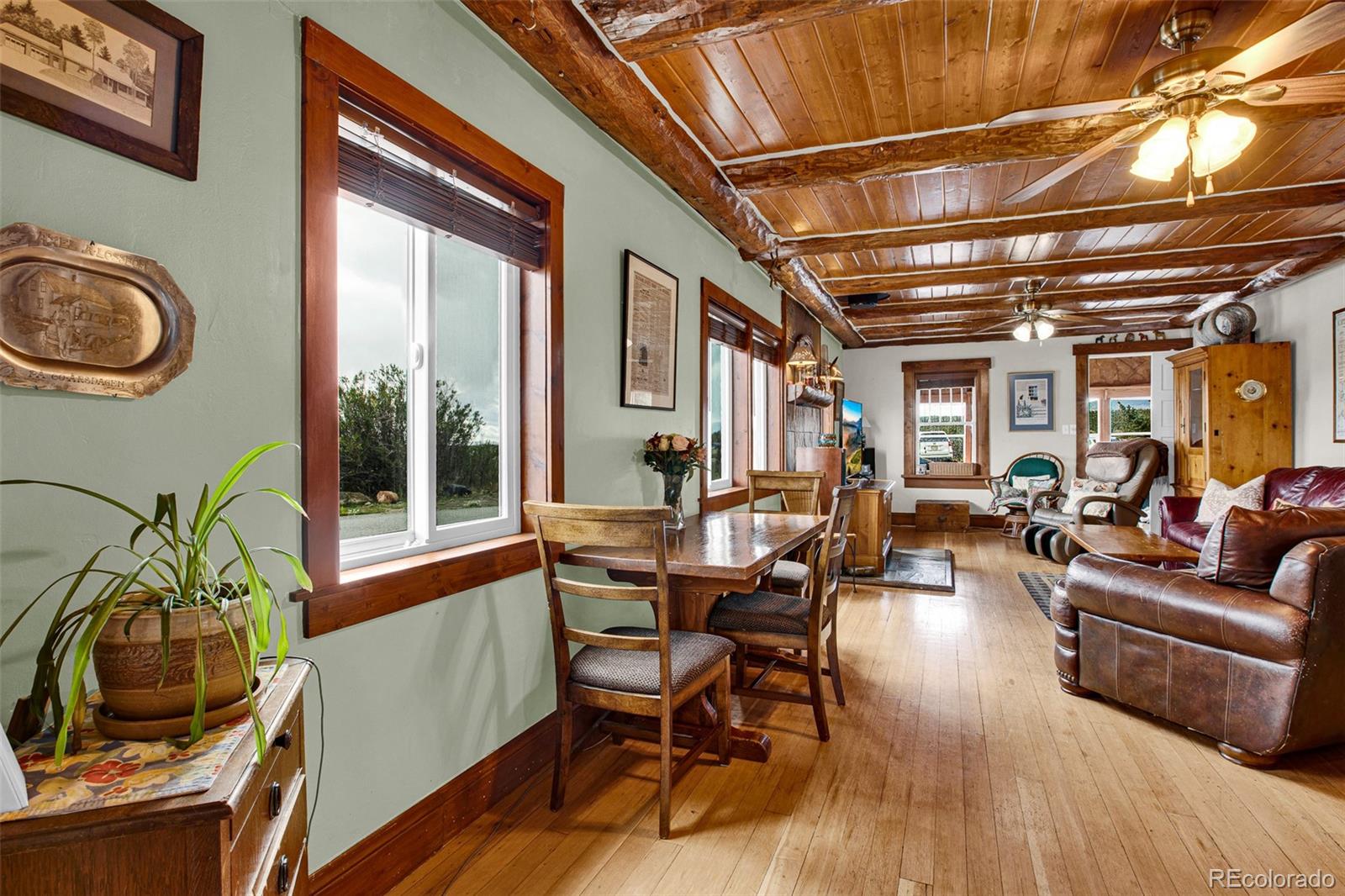 MLS Image #12 for 728  front street,fairplay, Colorado