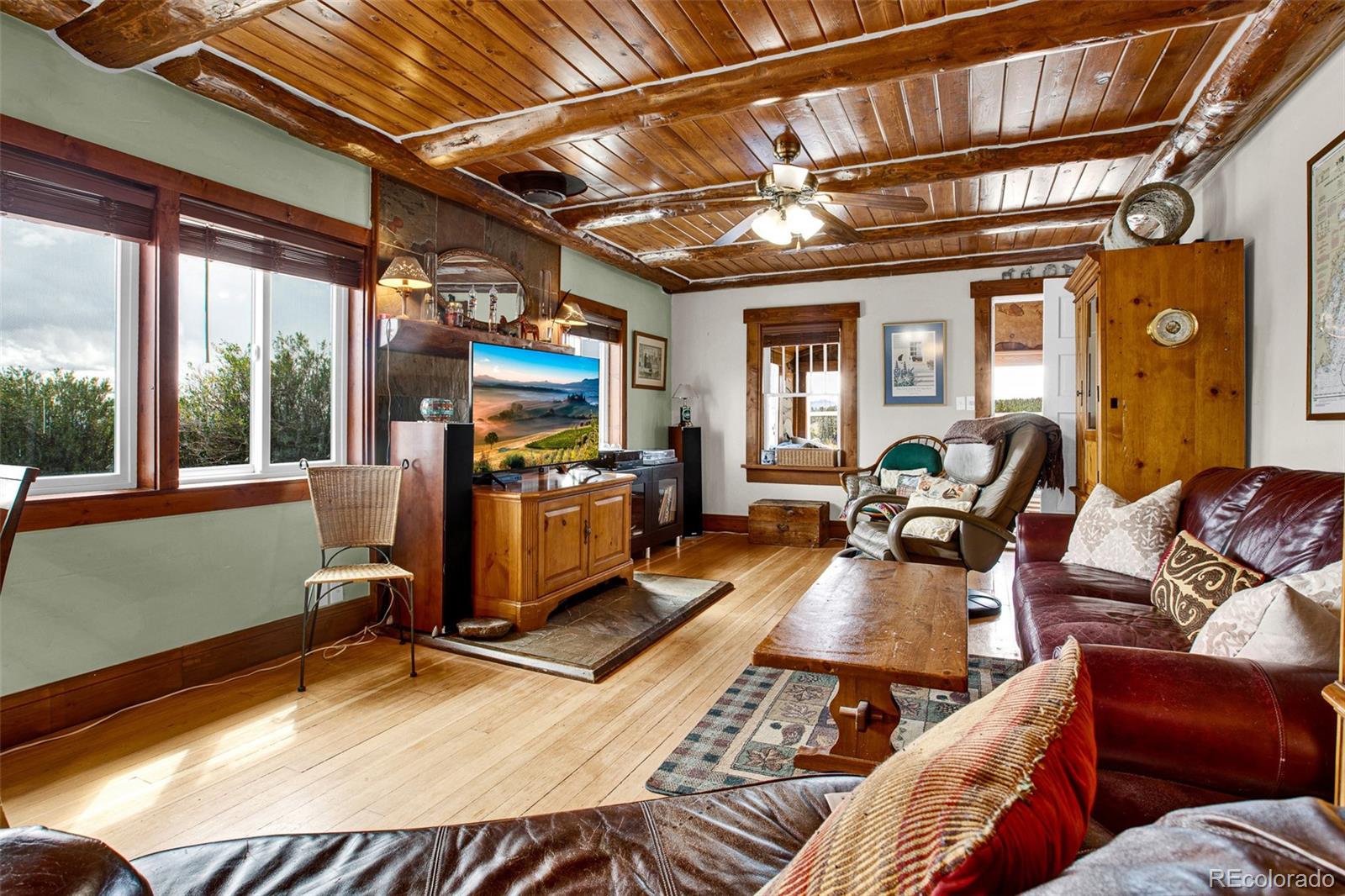 MLS Image #13 for 728  front street,fairplay, Colorado
