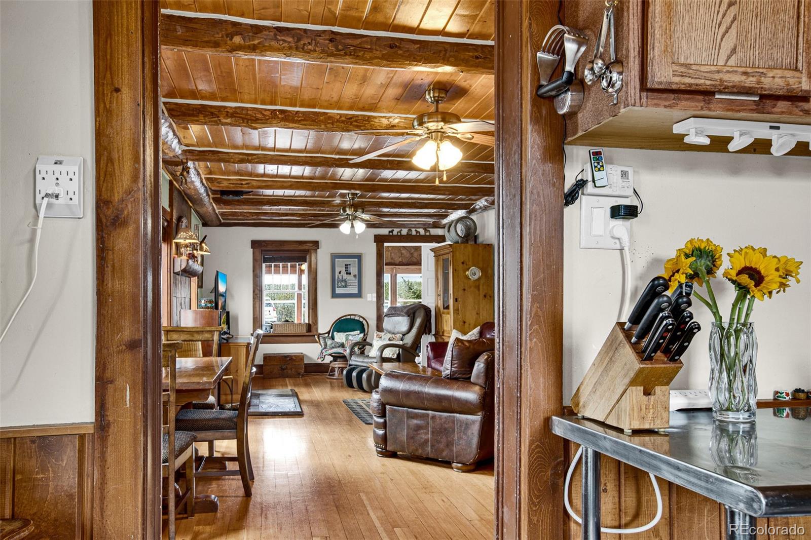 MLS Image #20 for 728  front street,fairplay, Colorado