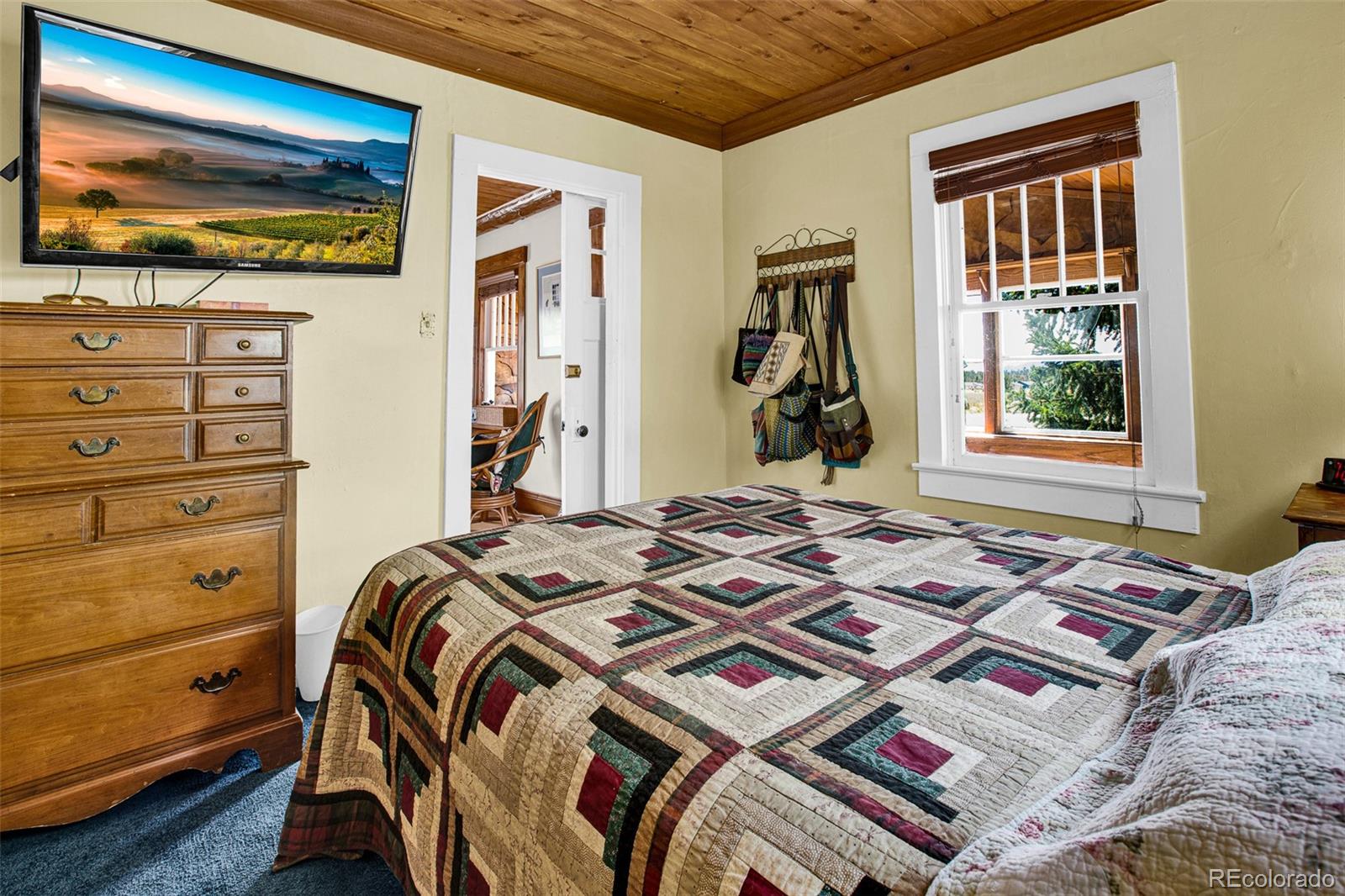 MLS Image #22 for 728  front street,fairplay, Colorado