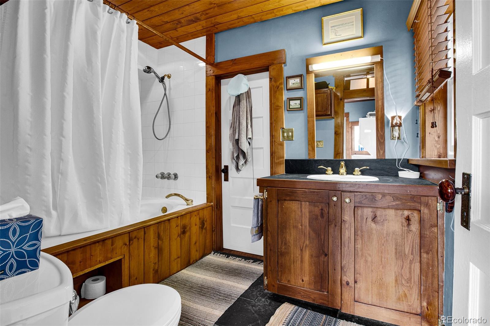 MLS Image #24 for 728  front street,fairplay, Colorado