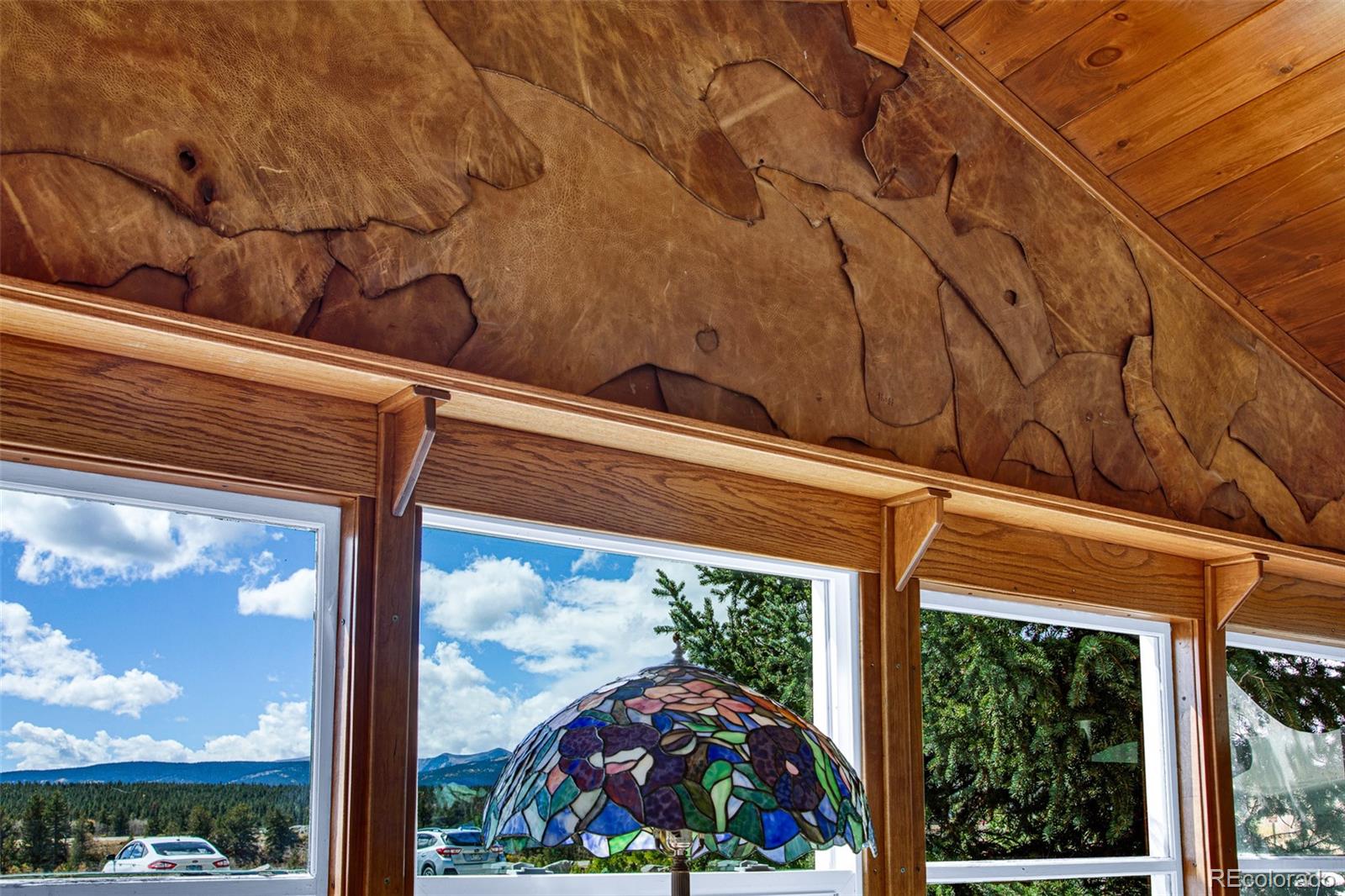 MLS Image #6 for 728  front street,fairplay, Colorado