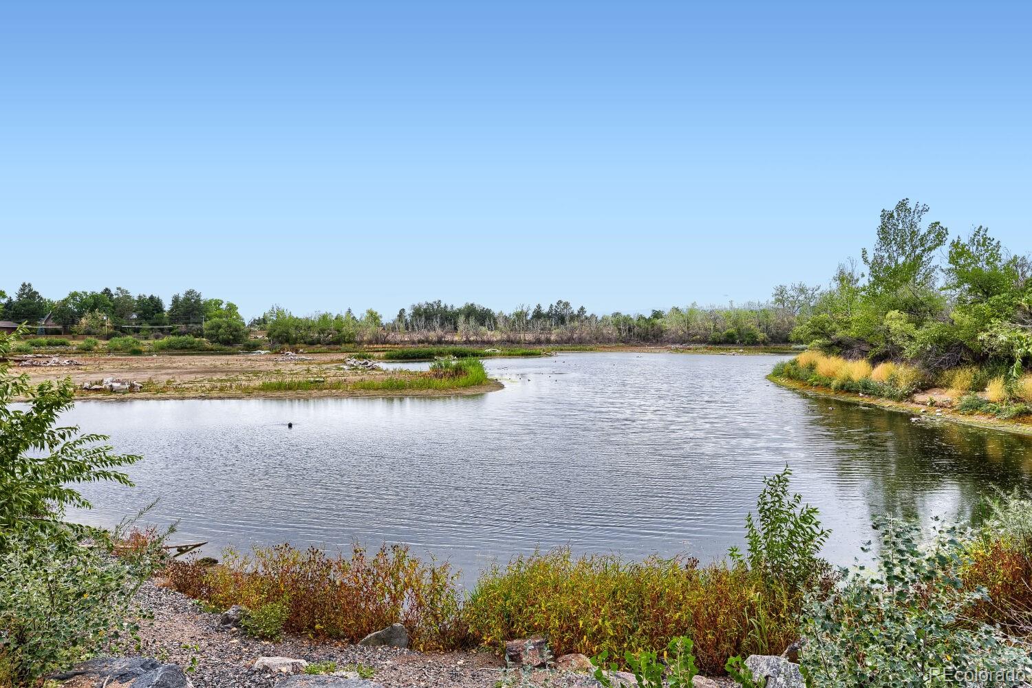 MLS Image #27 for 694 w shepperd avenue,littleton, Colorado
