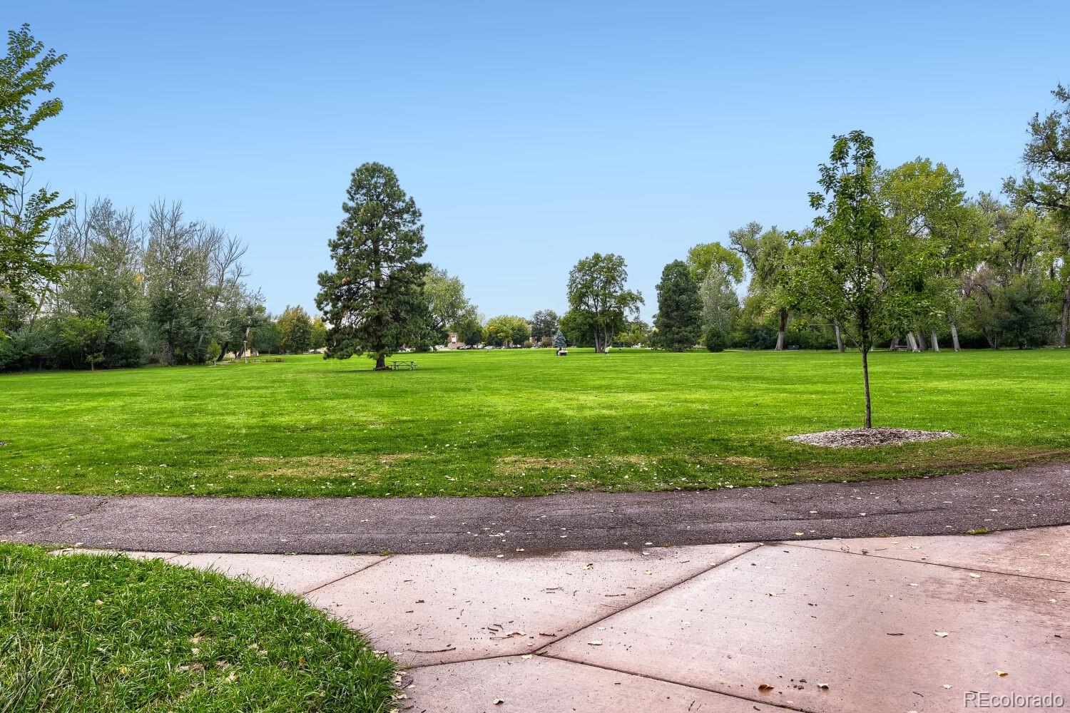MLS Image #28 for 694 w shepperd avenue,littleton, Colorado