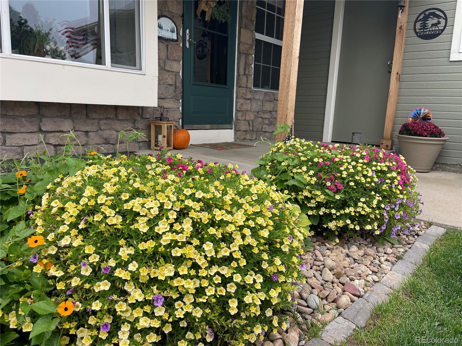 MLS Image #31 for 11505  marshall court,broomfield, Colorado