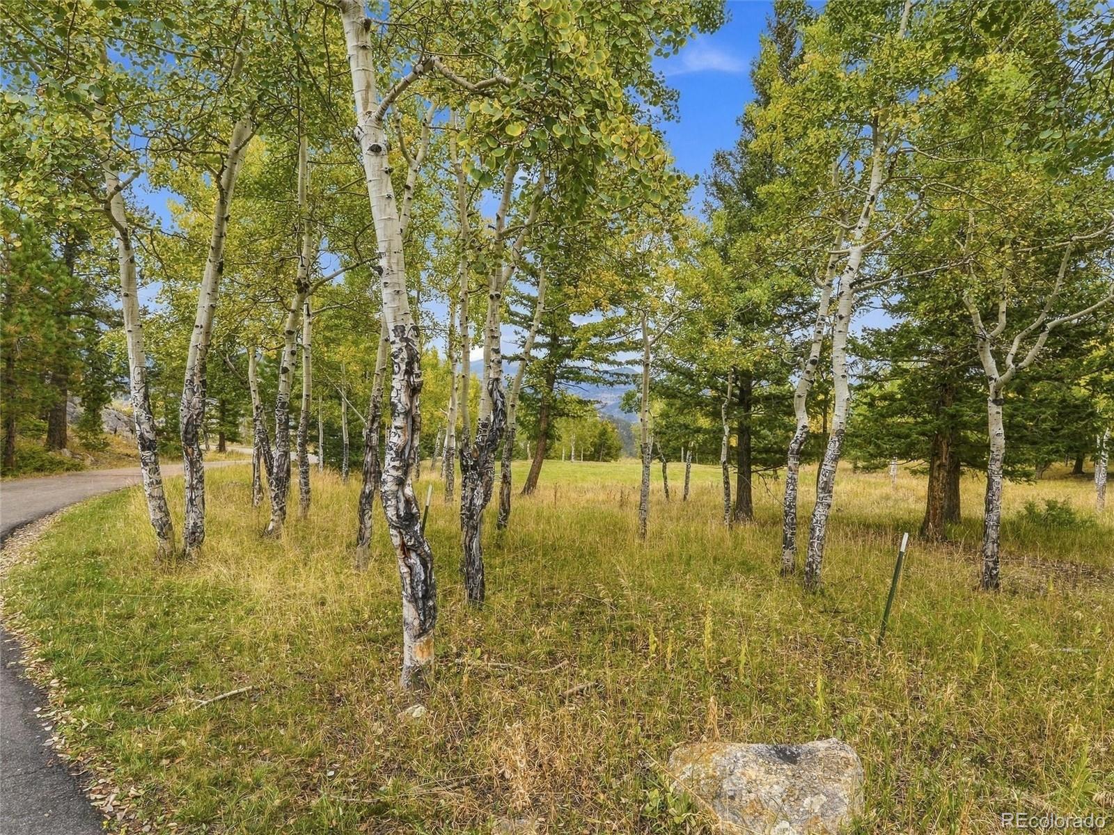 MLS Image #37 for 35000  fox ridge road,evergreen, Colorado