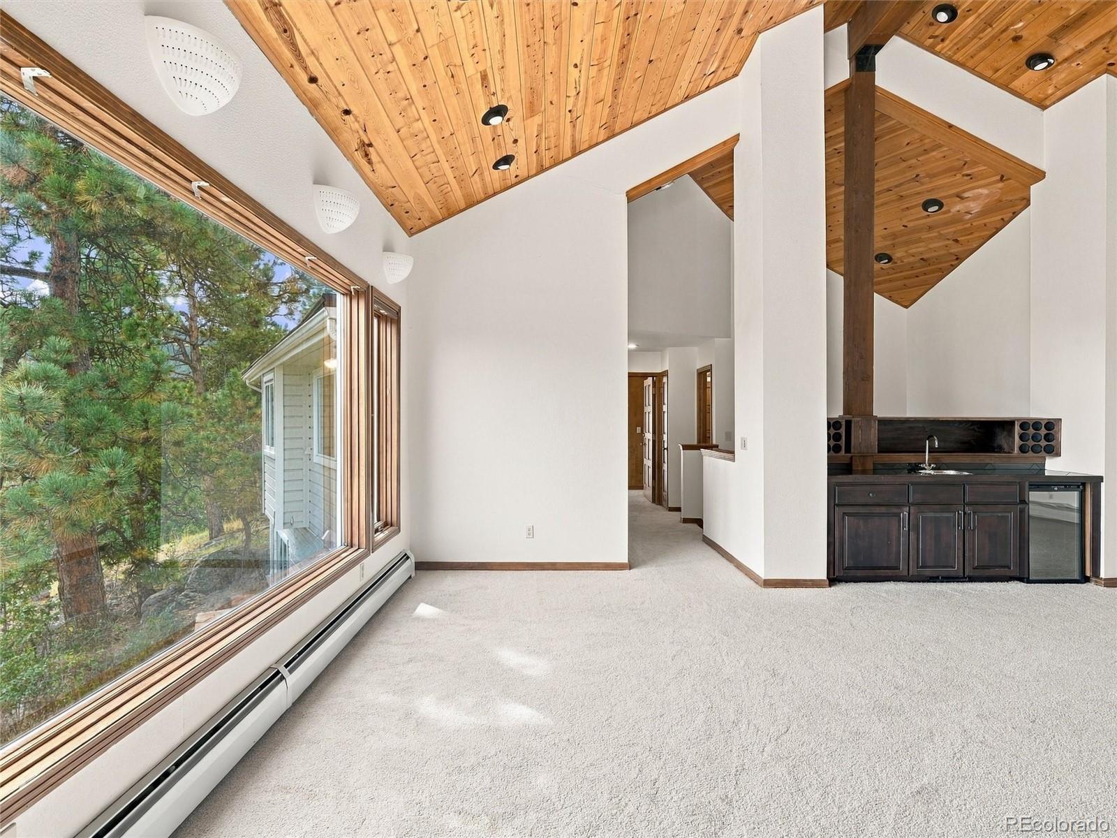 MLS Image #8 for 35000  fox ridge road,evergreen, Colorado