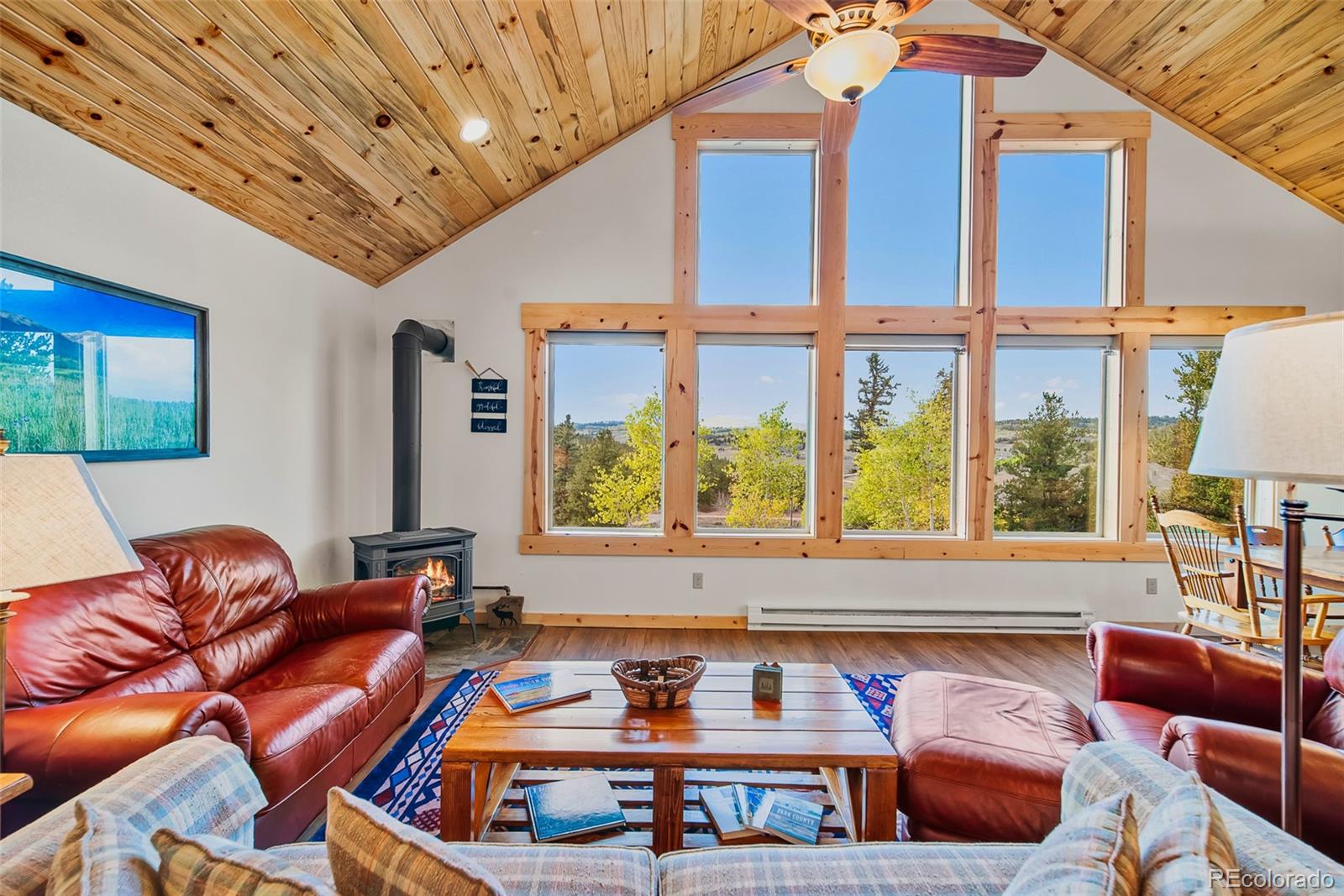 MLS Image #14 for 157  tumbler way,como, Colorado