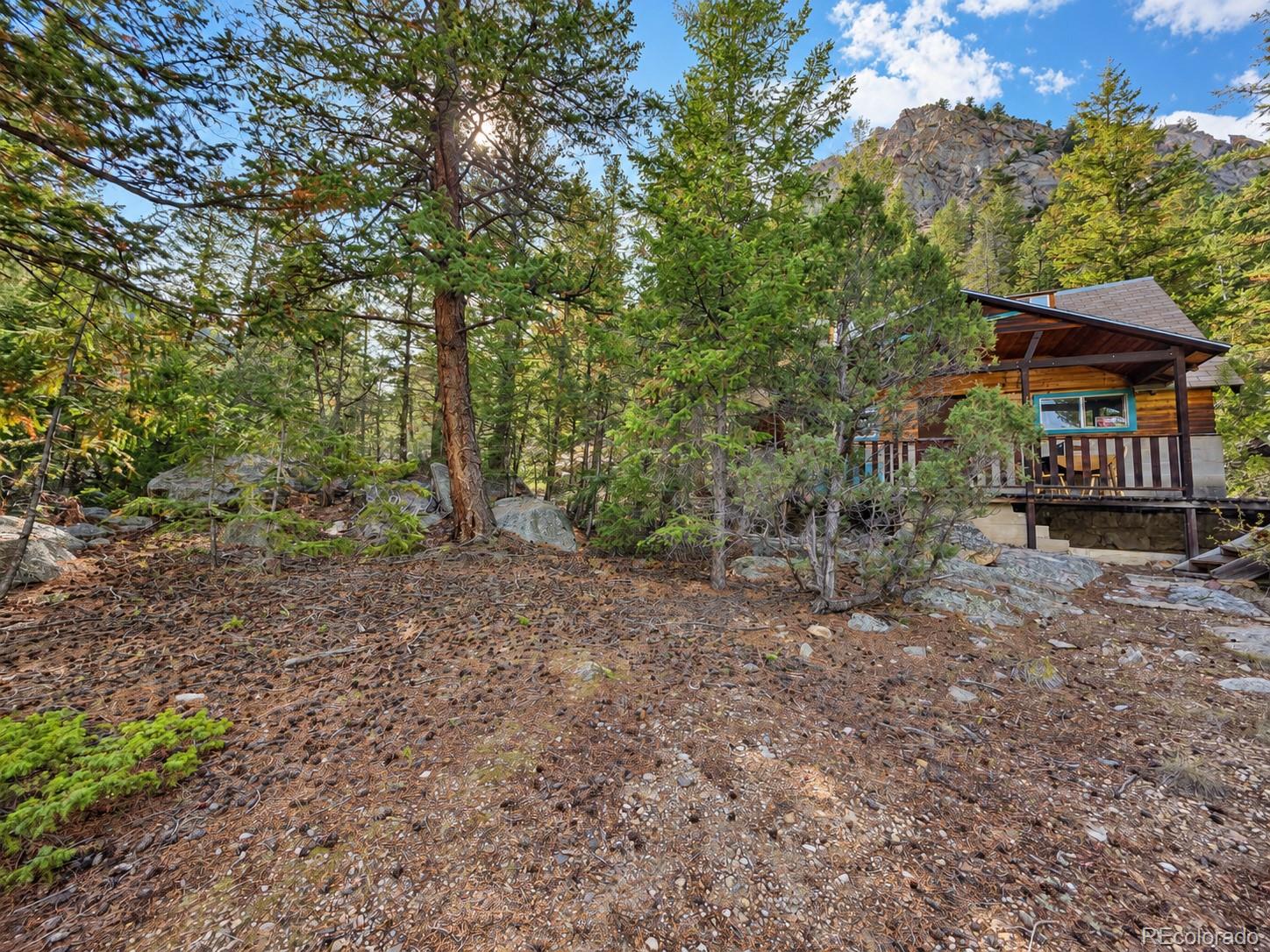 MLS Image #2 for 15  junction loop road,empire, Colorado