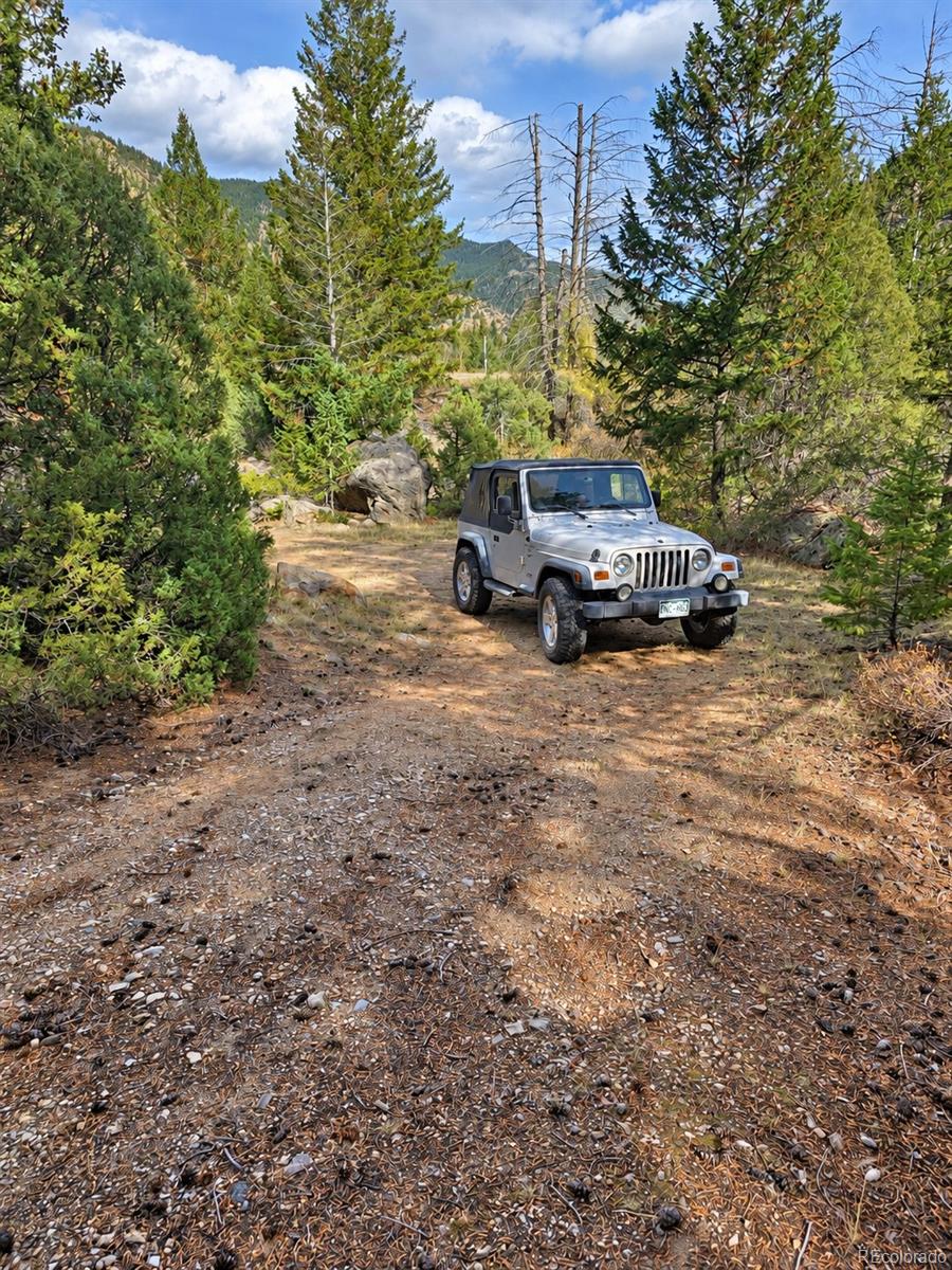 MLS Image #9 for 15  junction loop road,empire, Colorado