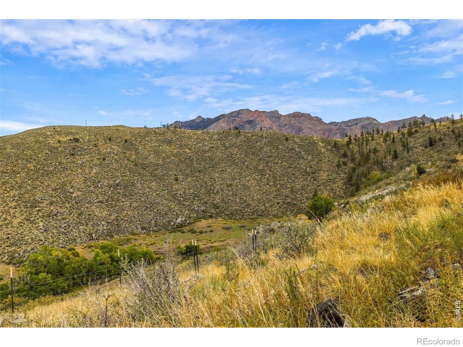 MLS Image #37 for 1004  deer meadow way,livermore, Colorado