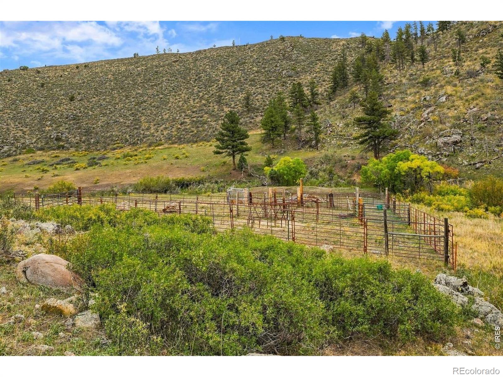 MLS Image #39 for 1004  deer meadow way,livermore, Colorado
