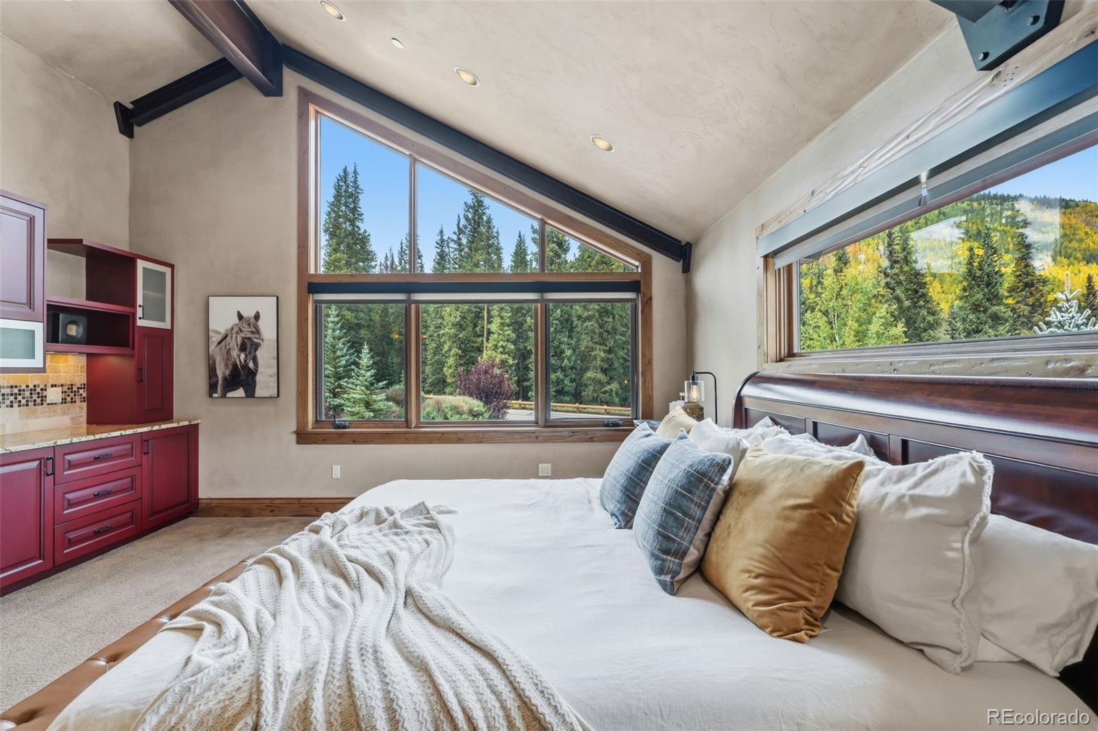 MLS Image #17 for 560  beeler place,frisco, Colorado