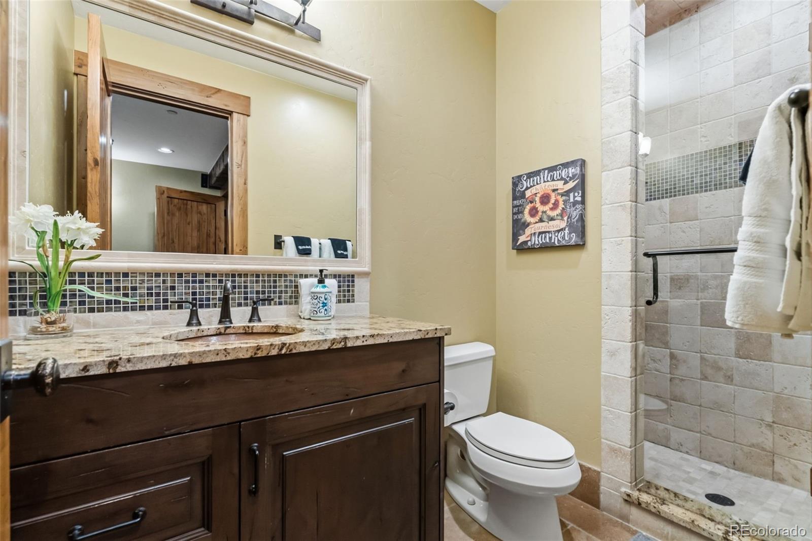 MLS Image #25 for 560  beeler place,frisco, Colorado
