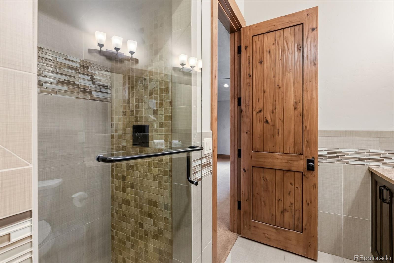 MLS Image #29 for 560  beeler place,frisco, Colorado