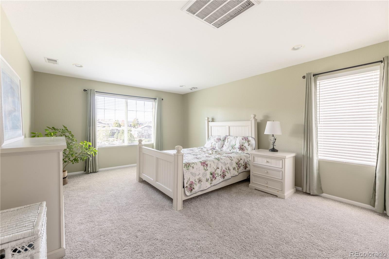 MLS Image #21 for 4262  abstract street,castle rock, Colorado