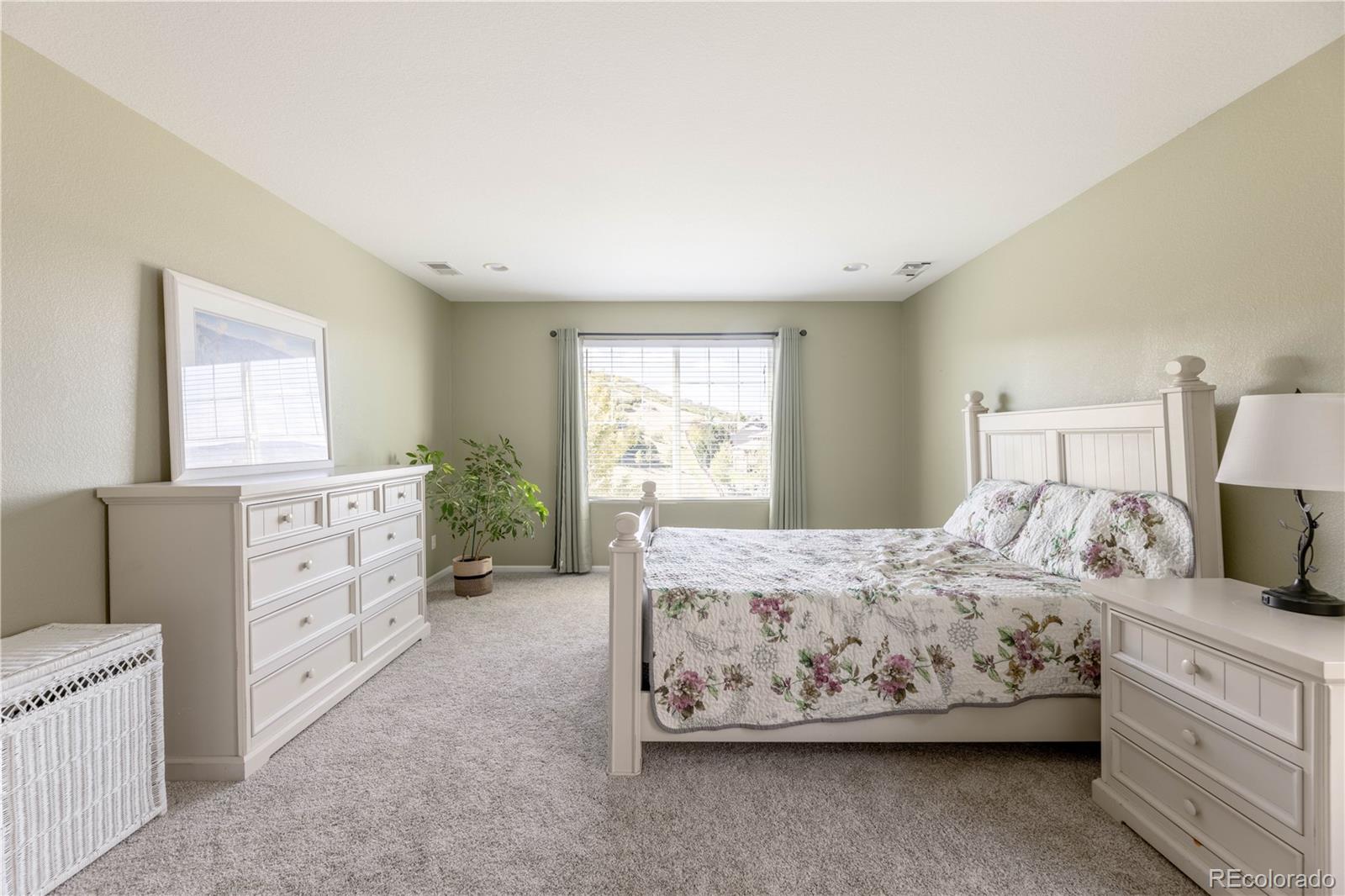 MLS Image #22 for 4262  abstract street,castle rock, Colorado