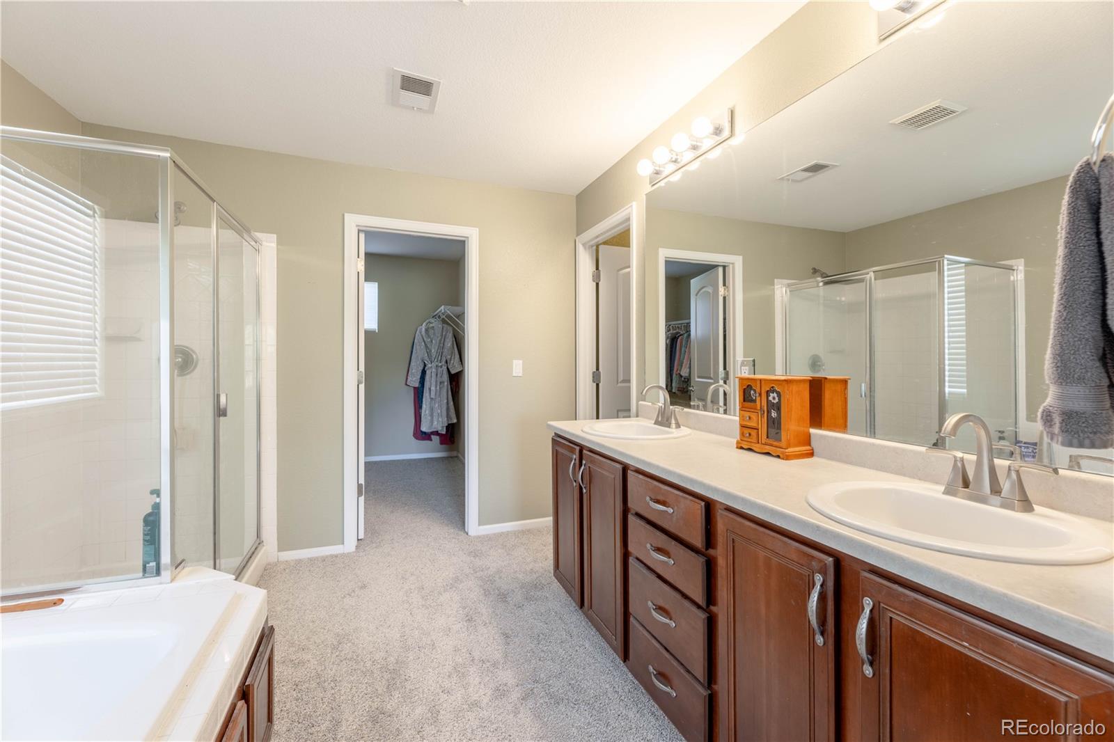 MLS Image #23 for 4262  abstract street,castle rock, Colorado