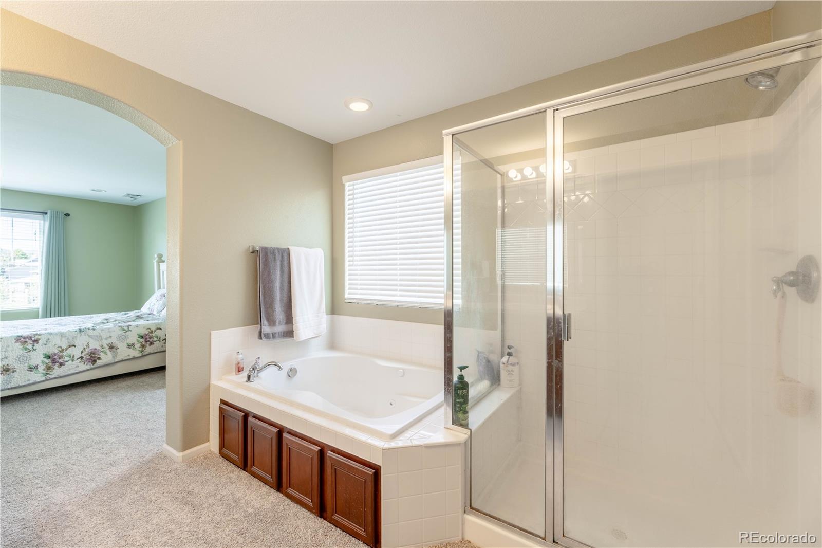 MLS Image #24 for 4262  abstract street,castle rock, Colorado