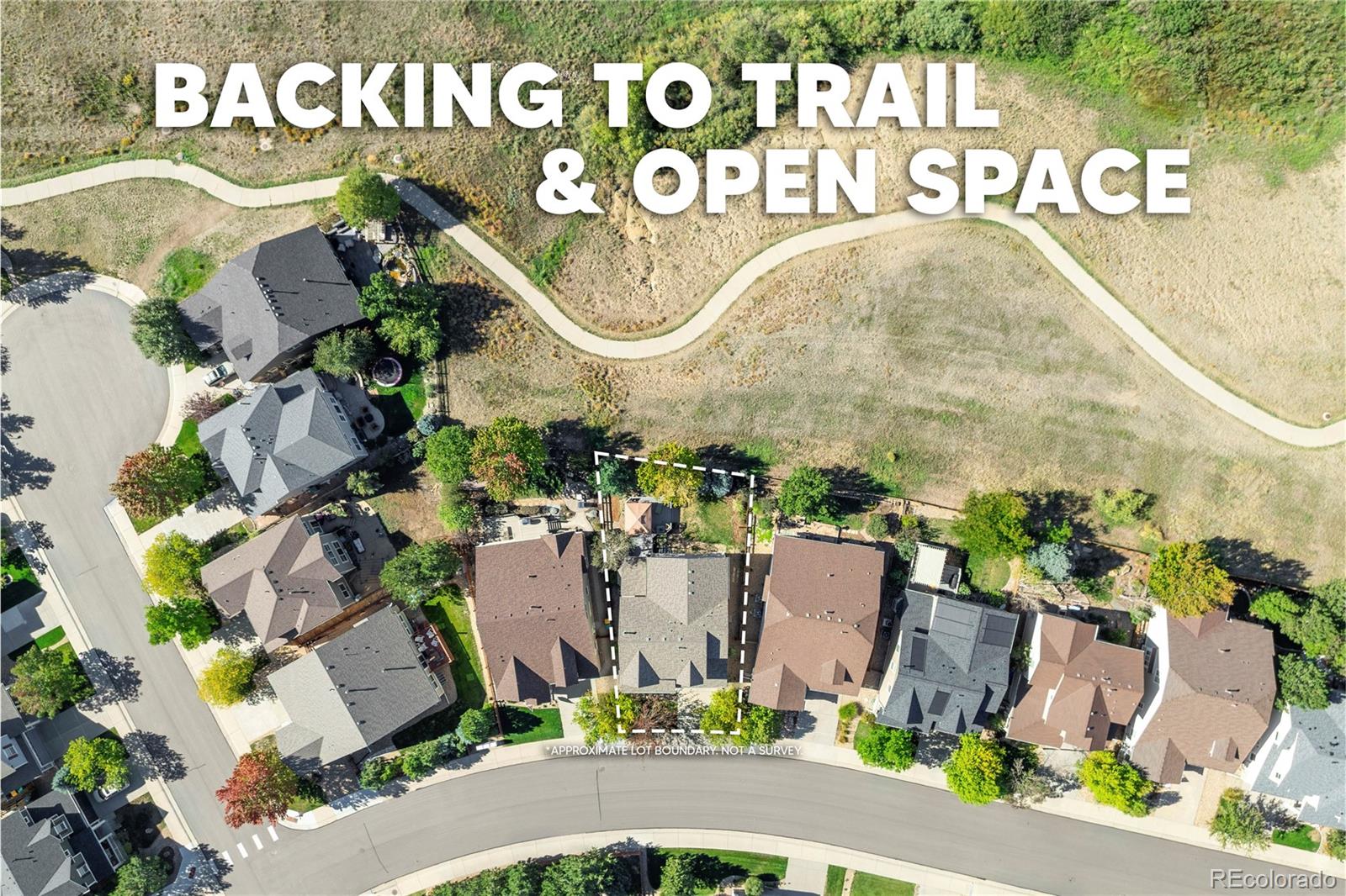 MLS Image #3 for 4262  abstract street,castle rock, Colorado