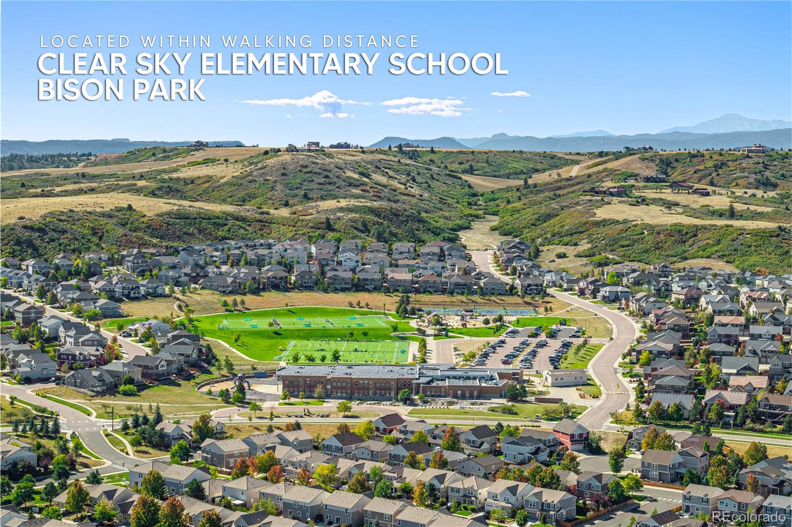 MLS Image #40 for 4262  abstract street,castle rock, Colorado