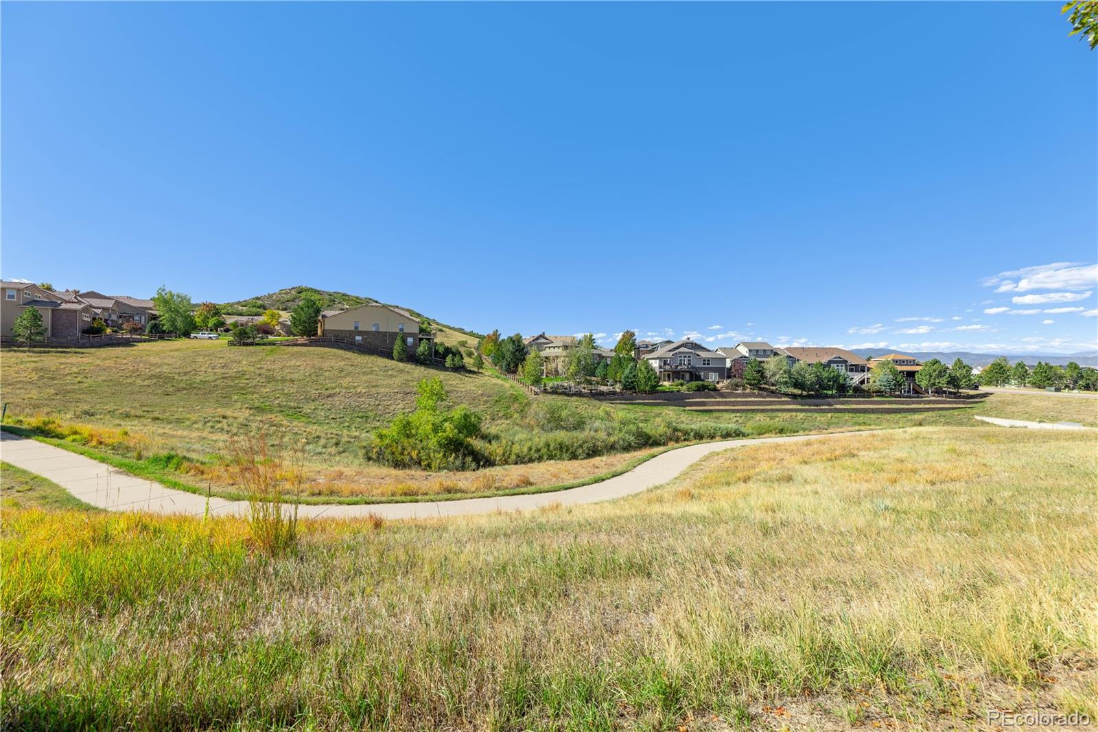 MLS Image #42 for 4262  abstract street,castle rock, Colorado