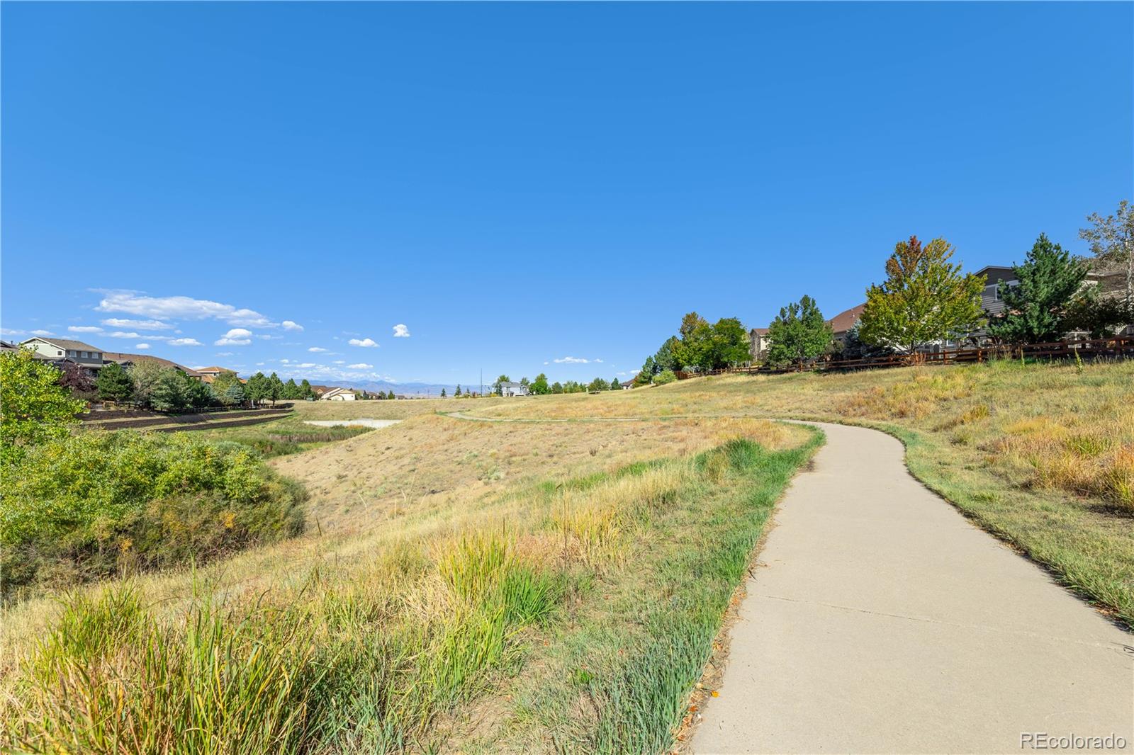 MLS Image #43 for 4262  abstract street,castle rock, Colorado
