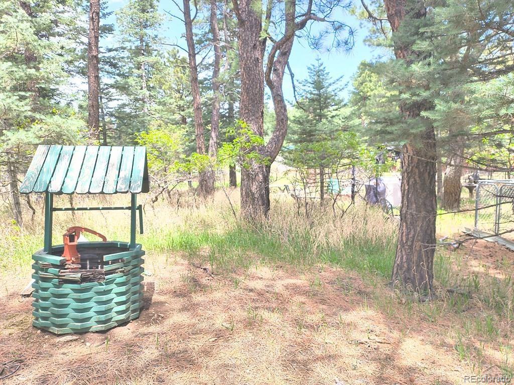 MLS Image #13 for 10594  charles lane,rye, Colorado