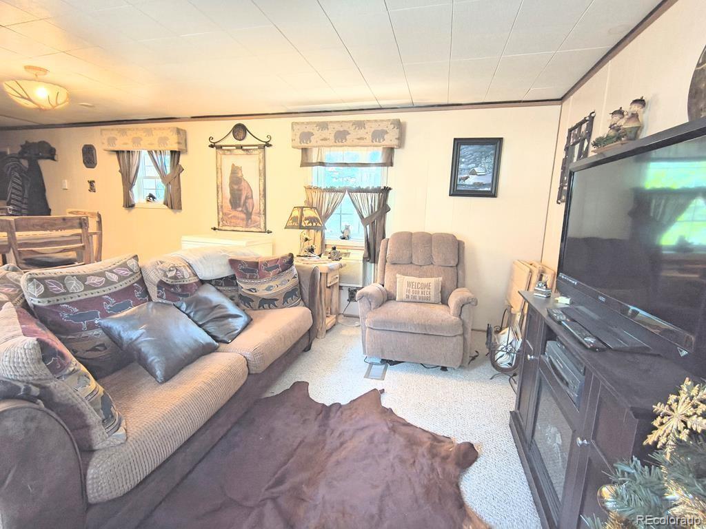 MLS Image #8 for 10594  charles lane,rye, Colorado