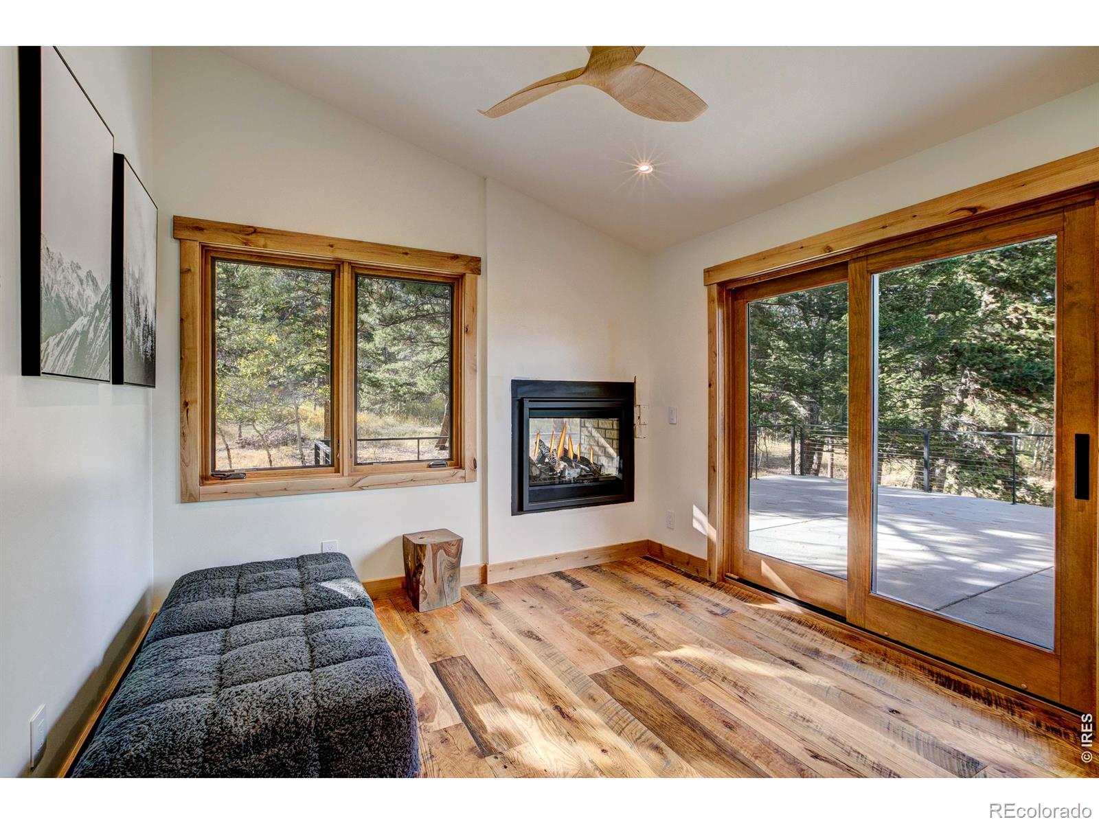 MLS Image #31 for 964  ski road,allenspark, Colorado