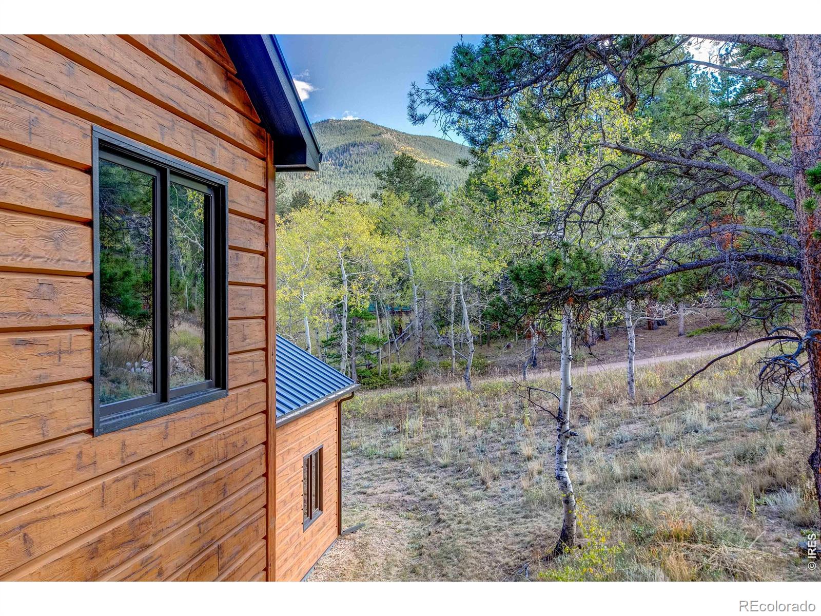 MLS Image #33 for 964  ski road,allenspark, Colorado