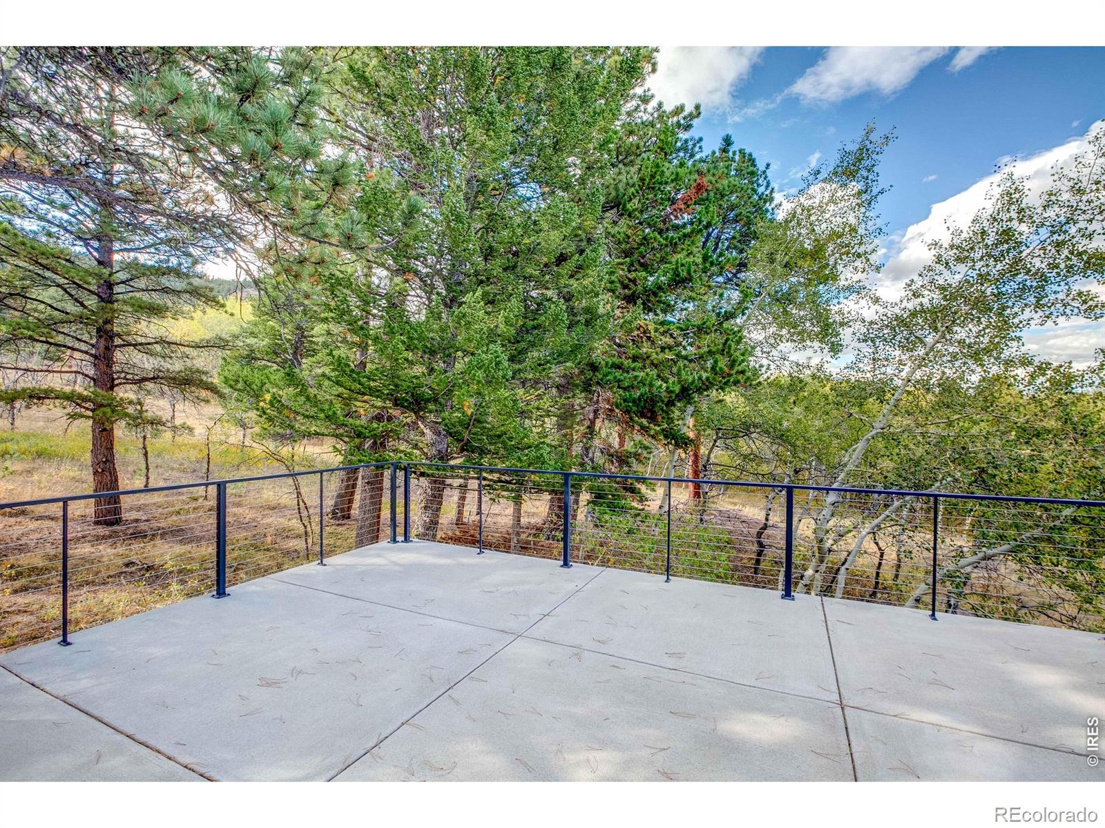 MLS Image #34 for 964  ski road,allenspark, Colorado
