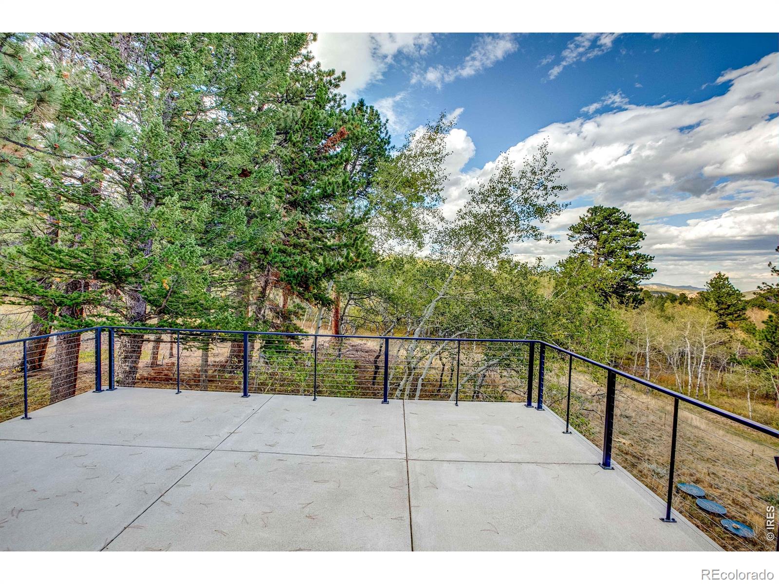 MLS Image #35 for 964  ski road,allenspark, Colorado