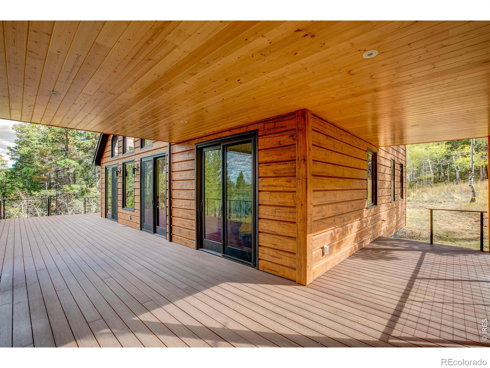 MLS Image #5 for 964  ski road,allenspark, Colorado